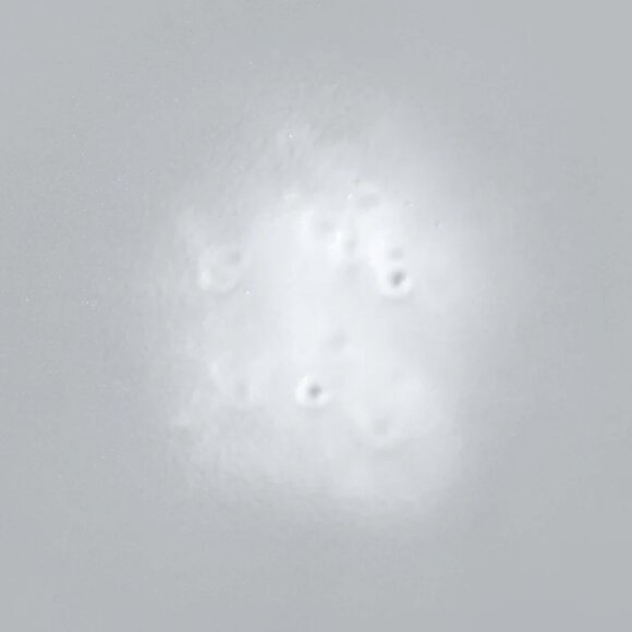 ❣️2/$36 NEW Saints & Sinners Velvet Divine Leave-In Conditioner Full Size $30.00 - Picture 3 of 4